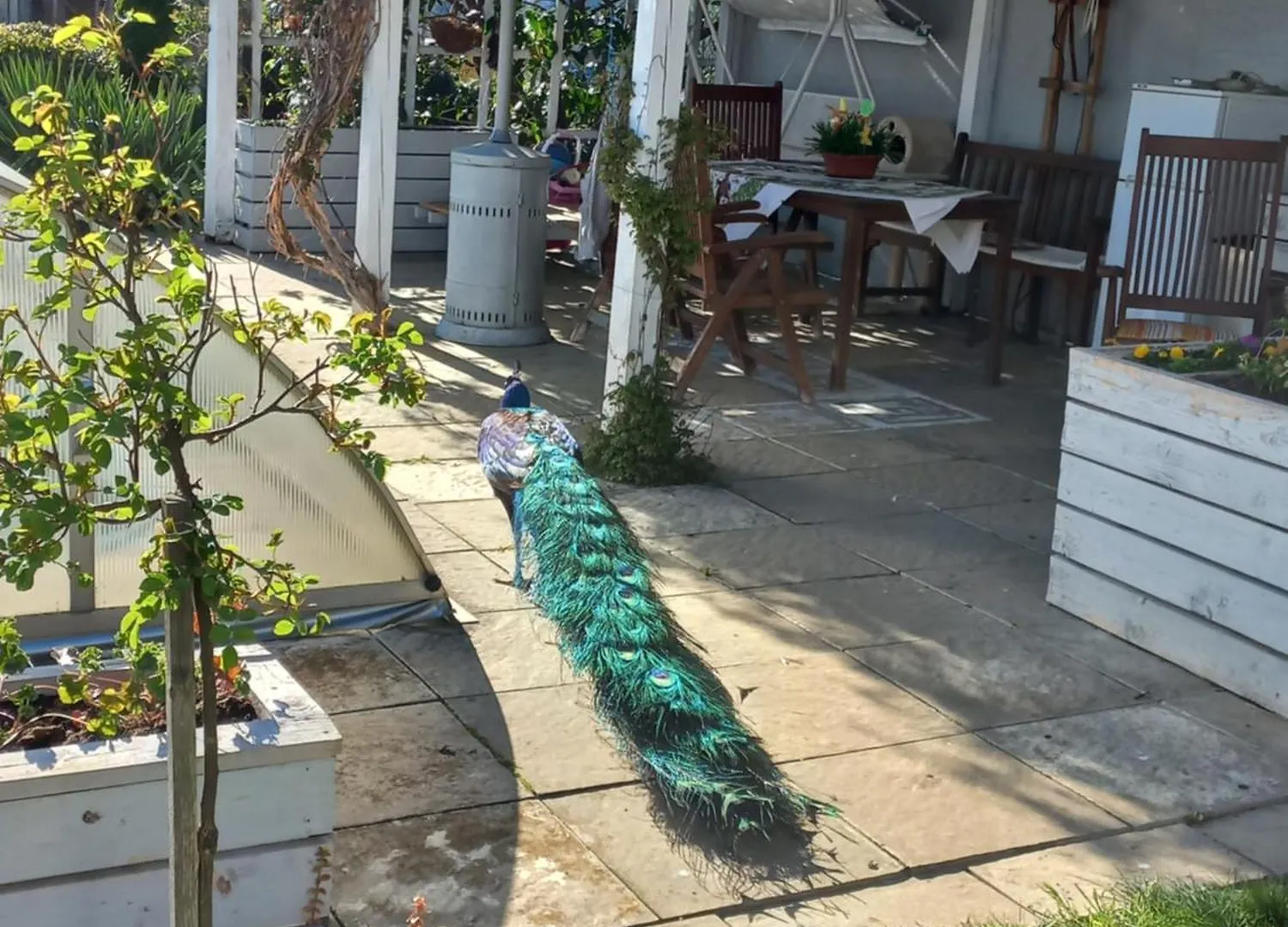 Paradise Villa Apartment プラハ
